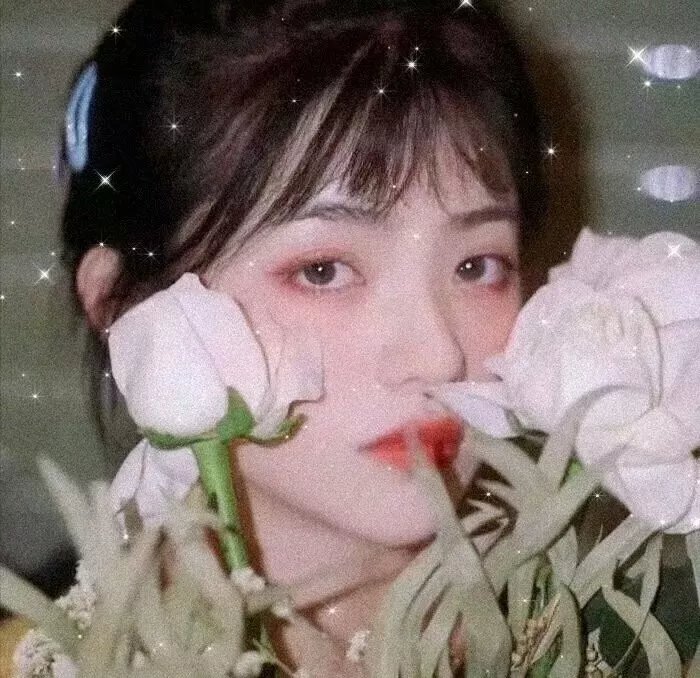 真爱限时令